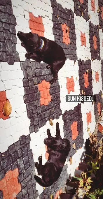 Vila Casa Di Dominici Kovillur Indie